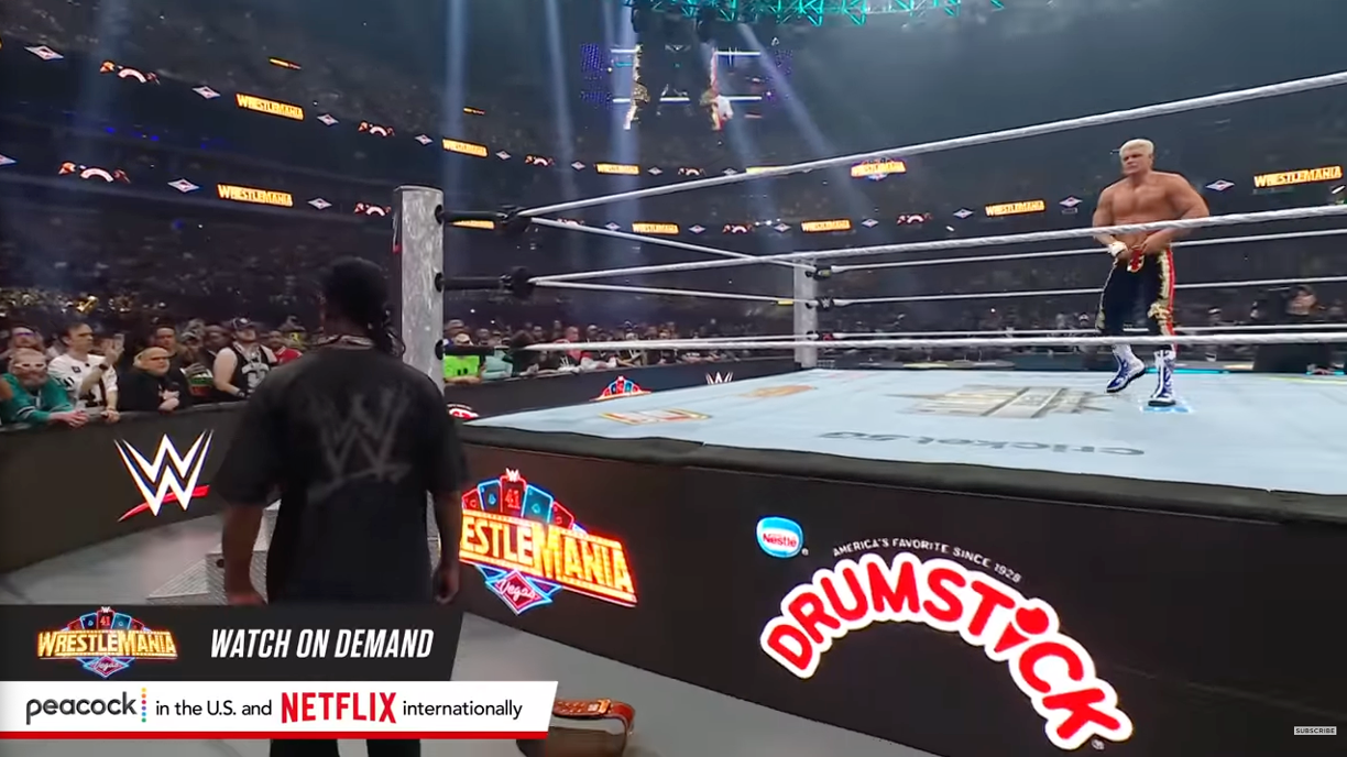 Drumstick × WWE